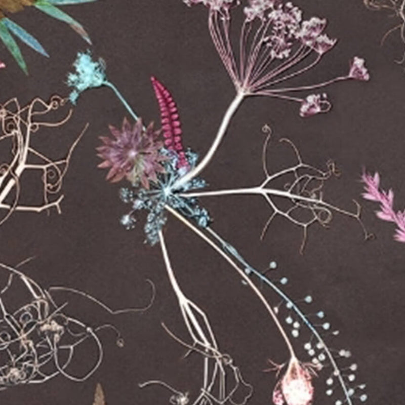 October 18: Pop up Apothecary and Tarot Readings