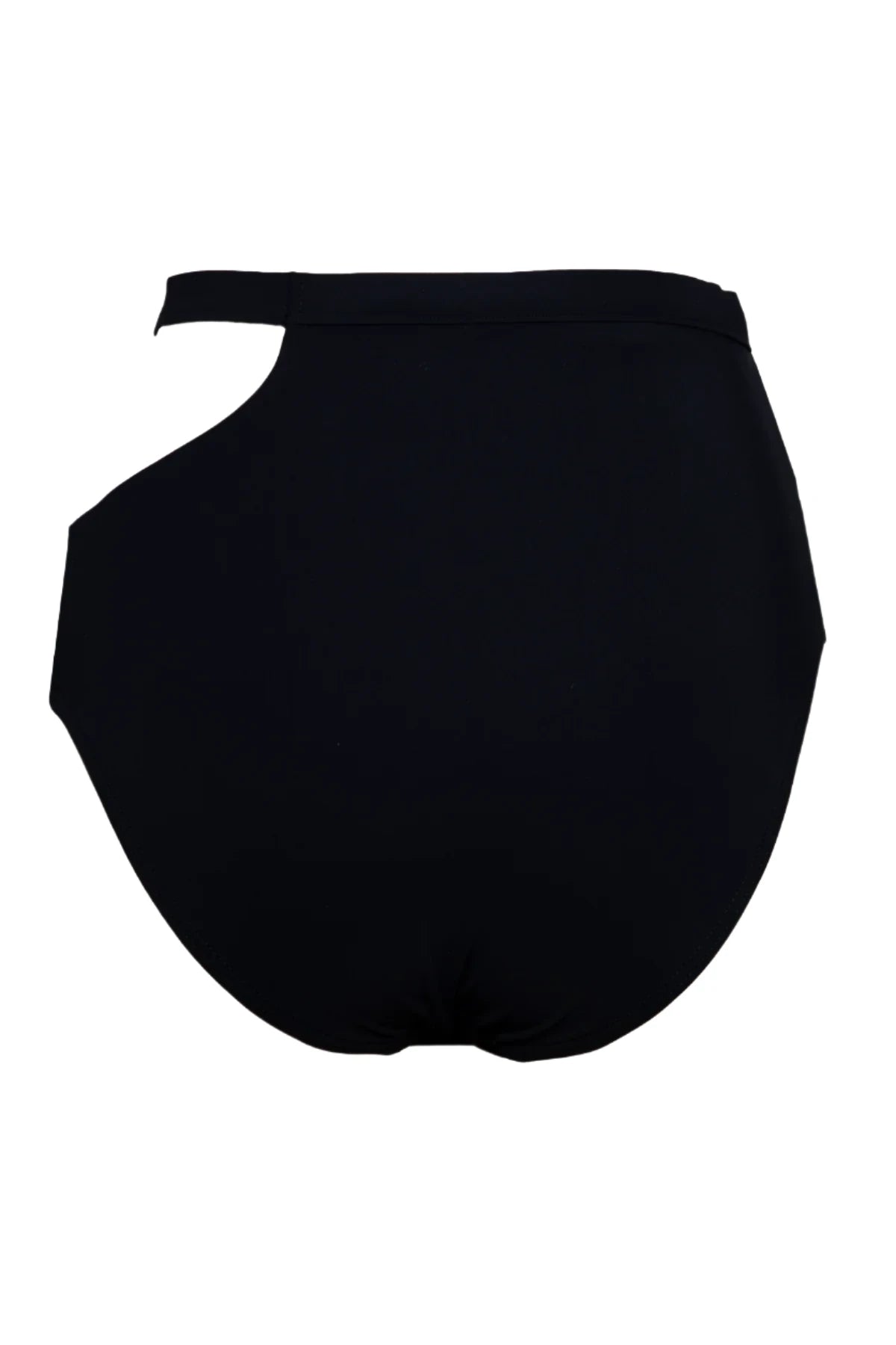 Marieyat Sade black high waist swim brief with hip cutout, back view on white background. Full coverage bottom.